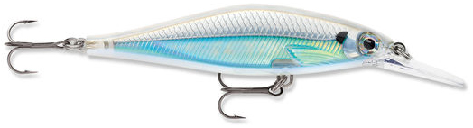 (AS) Albino Shiner